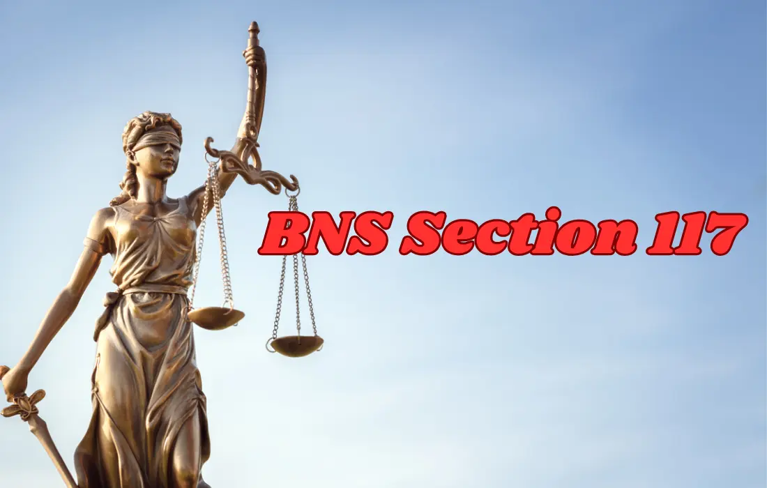 BNS Section 117, BNS Section 117 in Hindi