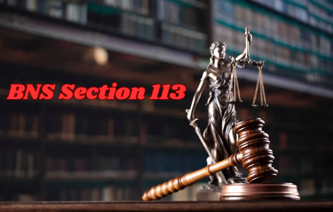 BNS Section 113, BNS Section 113 in Hindi