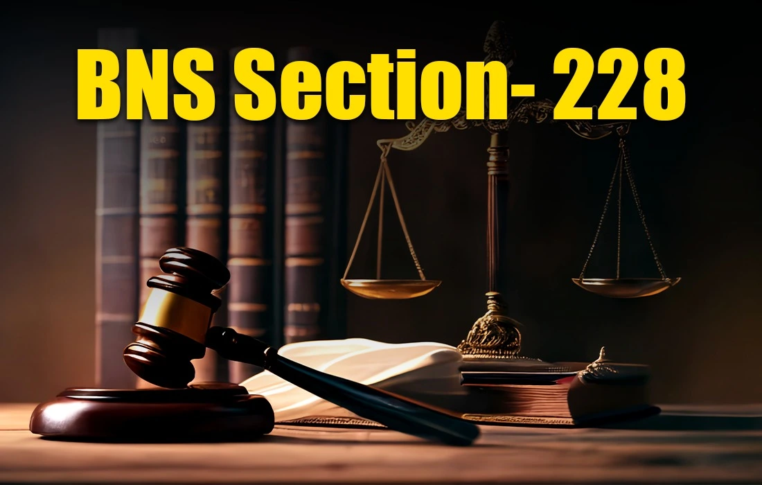 BNS Section 228 in Hindi, BNS Section 228