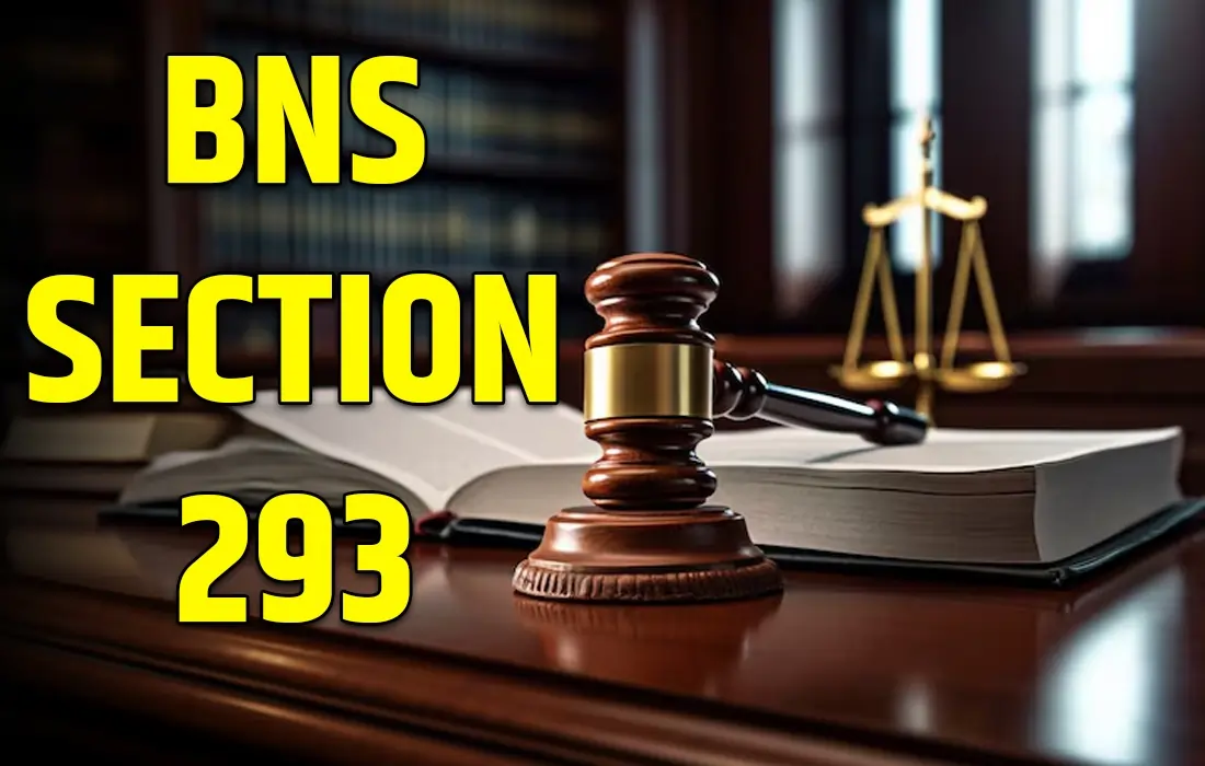 BNS Section 293 in Hindi, BNS Section 293