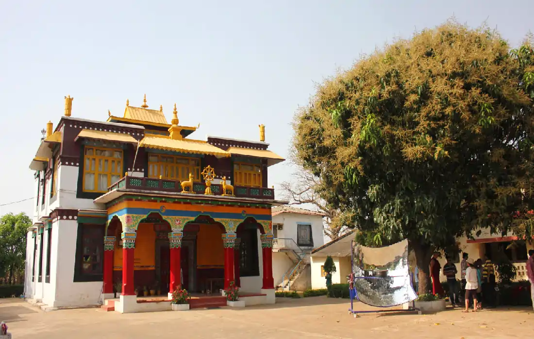 Mini Tibet in Chhattisgarh: क्या बौद्ध धर्म की शक्ति से रुक जाता है ग्रेविटी का नियम? जानिए मैनपाट का सच
