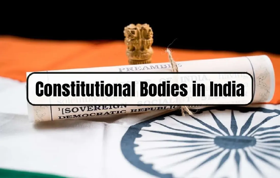 Constitutional institutions, non constitutional institutions